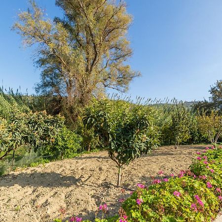 Villa Galateia Dhafnes Номер фото