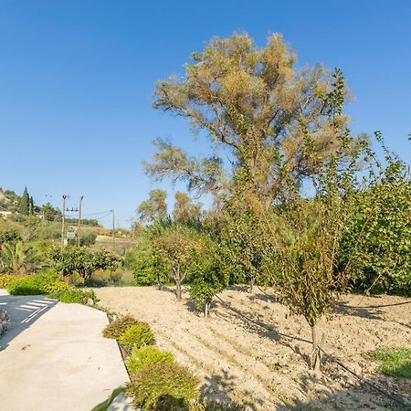 Villa Galateia Dhafnes Номер фото